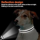 Joytale Reflective Dog Collar Nylon Padded Neoprene Large Black view 5