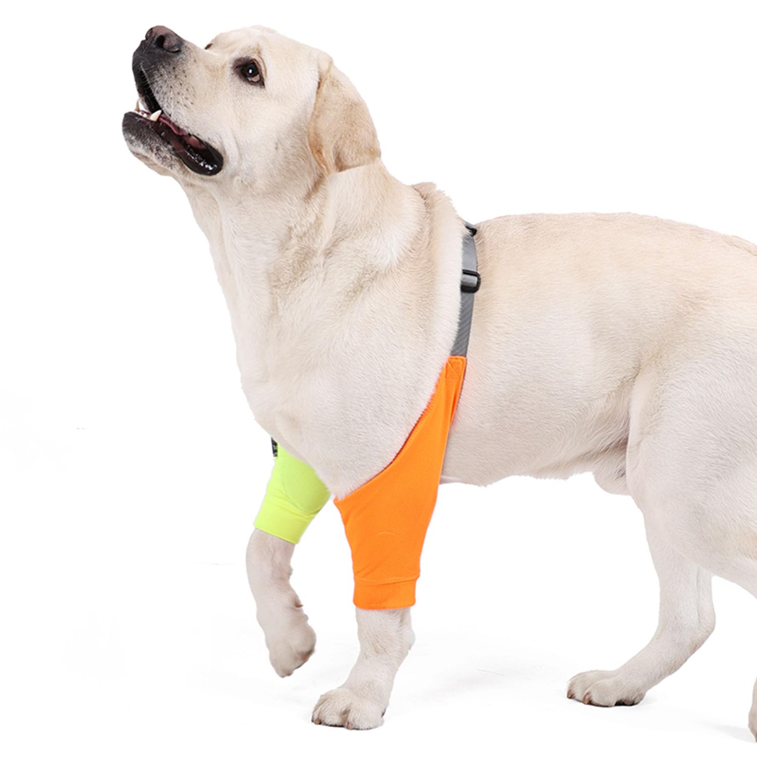 Photo 1 of HDKUW Dog Elbow Protector for Calluses, Recovery Suit for Front Legs, Cone Collar Alternative to Stop Licking Wounds, Cover Sleeve for Small Medium Large Dogs - Orange M