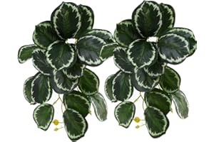 FLMOVING Reptile Plants for Terrarium, Amphibian Habitat Decor Artificial Hanging Plants with Suction Cup, Artificial Plants for Gecko Chameleon Snake Tortoise Tank Accessories. 2-Pack (Calathea makoyana)