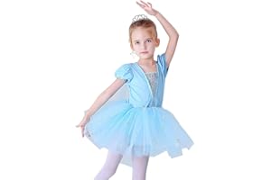 DYMCII Baby Girls Princess Ballet Dress Short Sleeve Leotards Skirted Tutu Dancewear Halloween Christmas Party Fancy Costume