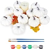 FUTUREPLUSX 12 PCS Small White Pumpkins for Decor, Fake Pumpkins to Paint | Halloween Thanksgiving Decorating Display