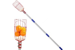 POPOHOSER Fruit Picker Pole with Basket - Apple Picker Long Handle Telescoping, 5.5 FT Stainless Steel Fruit Picking Pole Extendable Fruit Catcher Tool for Avocado, Apricot, Pear, Orange, Mango Trees Picking
