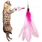 5 Pack Goose Feather Super Refill (PF) For Bird Catcher, Go Cat or Da Bird (Kittens or Older Cats) Unique Feline Chaser Charmer Dangler Dancer Replacement - Best Cat Toys Interactive Training Exercise