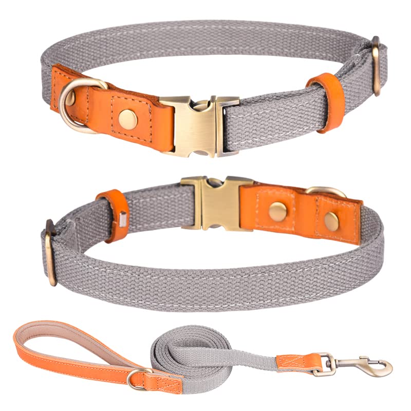 Haoyueer Nylon Dog Collar, with Metal Safety Buckle, Adjustable leather & Nylon Pet Collars & Leash set for Small Medium Large Dogs (M, Grey)