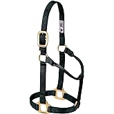 Weaver Leather Original Non-Adjustable Nylon Horse Halter Black, Weanling/Pony
