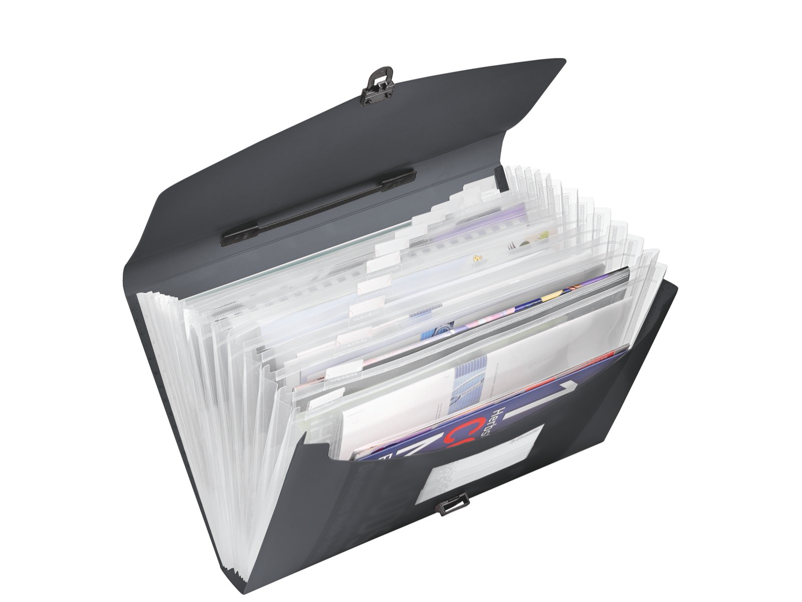 Esselte A4 Expanding Project File, Integrated Index with 12 Expanding Compartments, Elastic Closure, Flexible Plastic, Black, VIVIDA Range, 624024