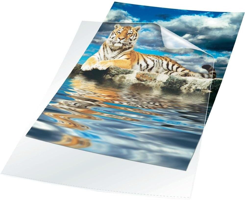 Durable Transparent Document Pockets A4 | Rigid Plastic Wallet with Thickness of 0.12mm | Large Pack of 100 Clear Pockets