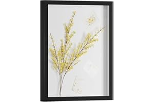 DEMAIKE 16x20 Shadow Box Frame Display Case with Real Glass, 3D Picture Frame for Memorabilia, Crafts, Photos, Wedding (Black)