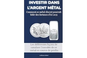 INVESTIR DANS L’ARGENT MÉTAL: Comment ce métal discret pourrait bâtir des fortunes d’ici 2035