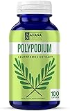 Polypodium Leucotomos (PLE) 20:1 Extract Capsules - Immune & Skin Health Supplement