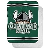 Cleveland State University Primary Logo Stripes