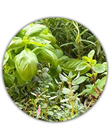 Amazon.es: Kits de cultivo en casa: Jardín