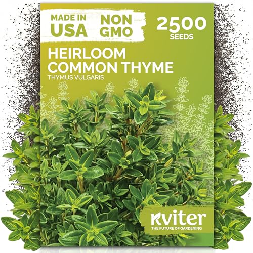 2500 Common Thyme Heirloom Herb Seeds
