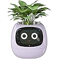 Masdio Smart Flowerpots, with Artificial Intelligence, Time Temperature Display, and Numerous Expressive Animations Based On The Environment, for Indoor Decoration, Gifts(Purple)