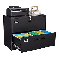 SISESOL 2 Drawer Lateral File Cabinet with