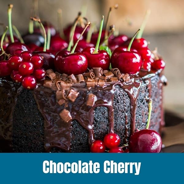 DOOR COUNTY COFFEE CHOCOLATE CHERRY FLAVORED WHOLE BEAN – 10 OZ BAG – MEDIUM ROAST – 100% SPECIALTY ARABICA – FLAVORED GOURMET – CHOCOLATE CHERRY