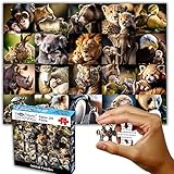 Think2Master Animal Families 250 Pieces Jigsaw