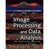 Image Processing and Data Analysis: The Multiscale Approach (Volume 0)