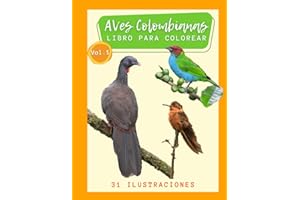 Aves Colombianas Libro para Colorear Vol 1. 31 ilustraciones: Colibríes, halcones, búhos, tángaras, patos, pavas, pájaros carpinteros, saltarines, ... y más. Amantes de las Aves (Spanish Edition)