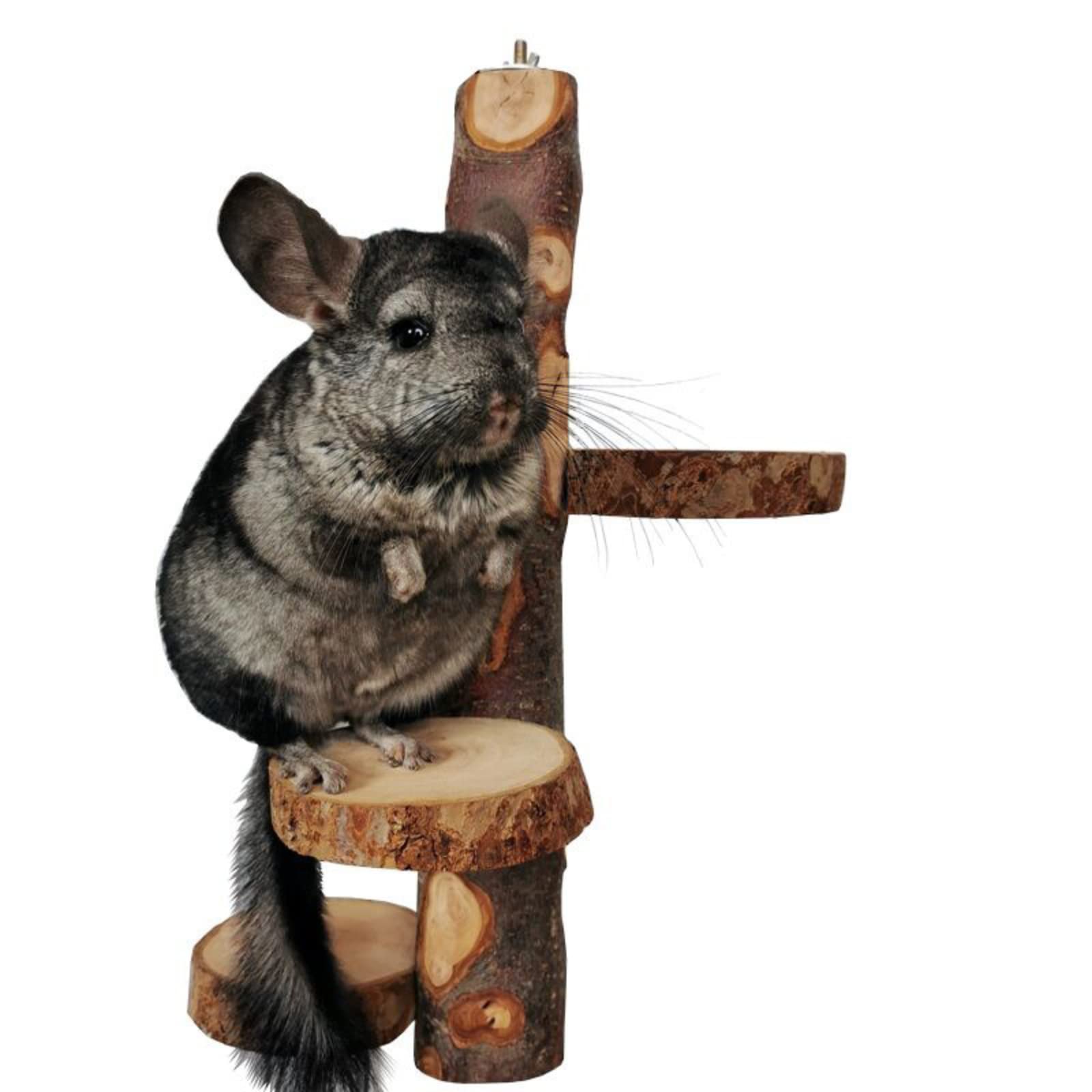 Photo 1 of Chinchilla Large Hanging Wooden Rotating Platform - Small Animal Natural Fruit Wood Standing Platform for Squirrels, Sugar Gliders & Birds