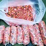Namvo 100pcs PVA Carp Fishing Bags 7x10cm Water Soluble Solid Bait view 5