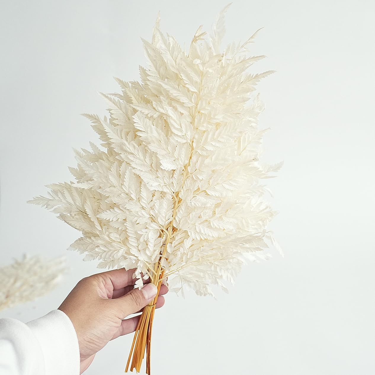 Photo 1 of 10PCS Exquisite Assortment of Dried Leaves and Floral Stems - Leaf and Flower Decor, White Eucalyptus, Artificial Fern, Skeleton Leaves for Stunning Decor