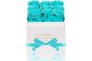 Perfectione Roses Preserved Flowers in a Box, Blue Real Roses Long-Lasting Rose Birthday Gifts for Her Anniversary Mother's Day Valentine's Day Christmas Day