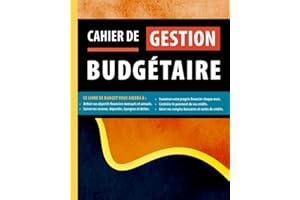 Cahier De Gestion Budgétaire: Livre De Comptes Personnel, 4 ans De Suivi De Vos Dépenses, Crédits, Factures, Epargnes Et Autr