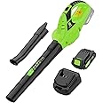 Leisch Life 21V Leaf Blower Cordless | Handheld Electric Lightweight Blower with 2.0Ah Rechargeable Battery & Fast Charger | Adjustable Speeds, Portable Design for Lawn, Patio, Yard, Sidewalk Cleaning