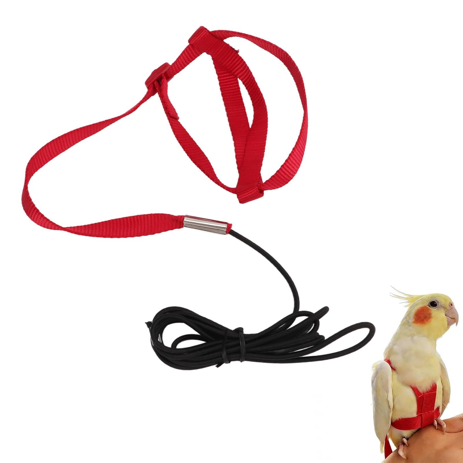 Adjustable Parrot Harness and Leash for Parakeet, Cockatiel and Bird Outdoor Training (Small)