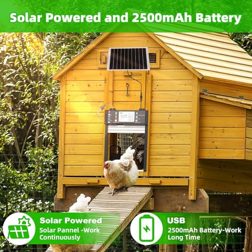 Shinmax Porta Automatica Solare Intelligente Per Pollaio Con App WiFi 2,4 GHz, Sensore Di Luce, Timer, Anti-Schiacciamento, Display LCD, Batteria Ricaricabile 4000mAh