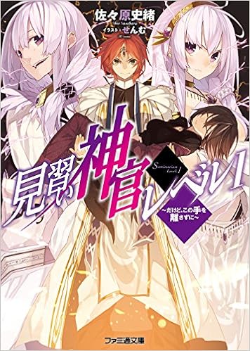 見習い神官レベル1 だけど この手を離さずに ファミ通文庫 Amazon Com Books