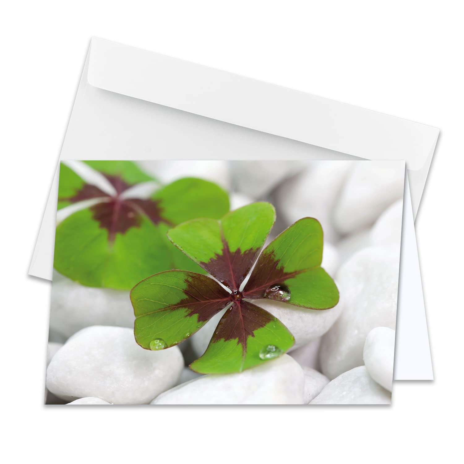 XXL greeting card for every occasion, DIN A4 - large greeting cards - 1 piece - greeting card set with large envelope DIN C4 - lucky clover