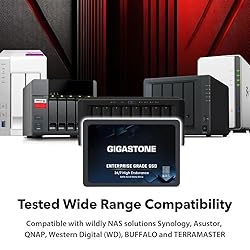 Gigastone Enterprise SSD 4TB NAS SSD Drive Cache