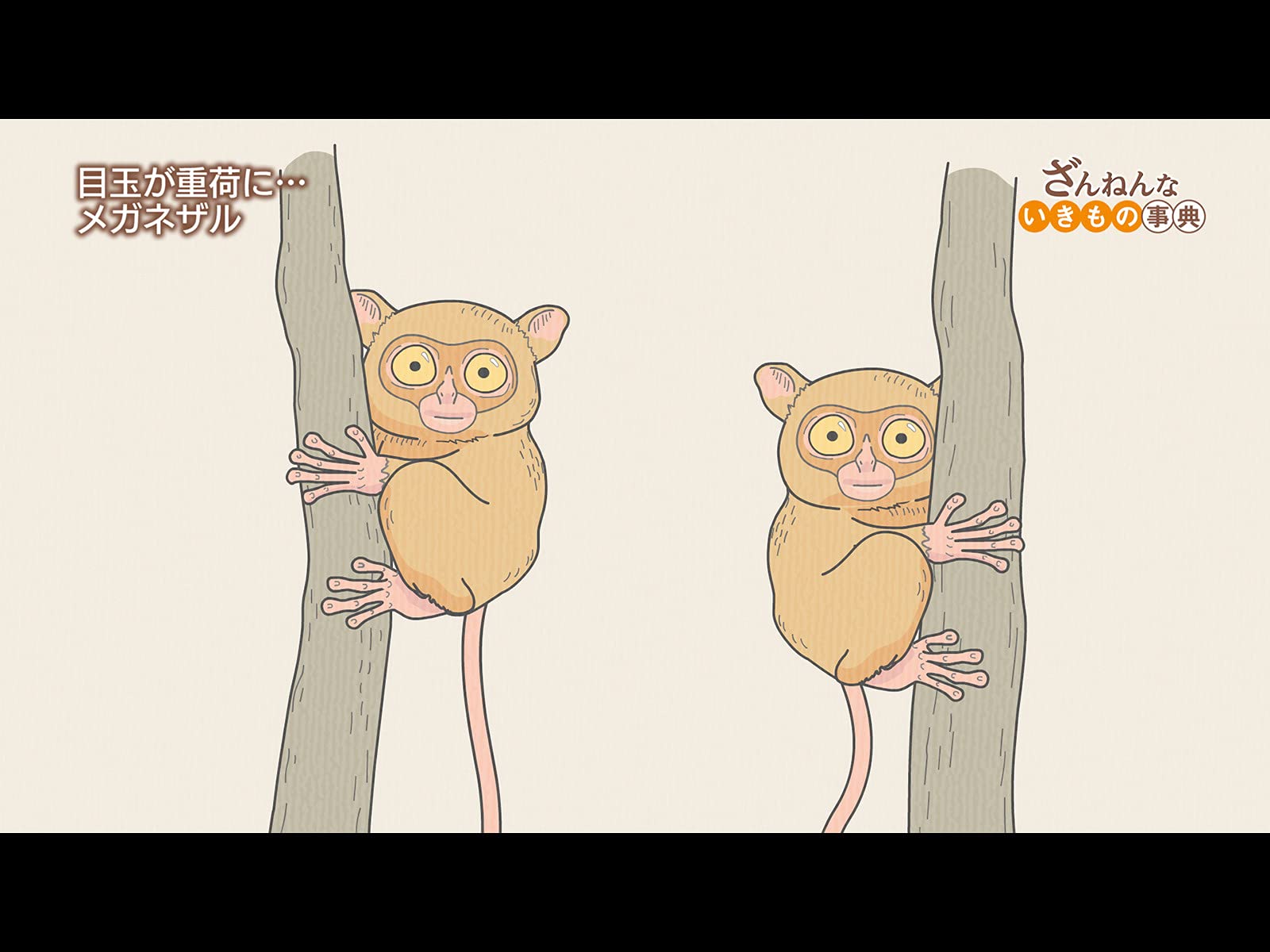 Amazon Co Jp ざんねんないきもの事典を観る Prime Video