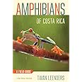 Amphibians of Costa Rica: A Field Guide (Zona Tropical Publications)