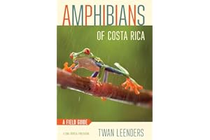 Amphibians of Costa Rica: A Field Guide (Zona Tropical Publications)