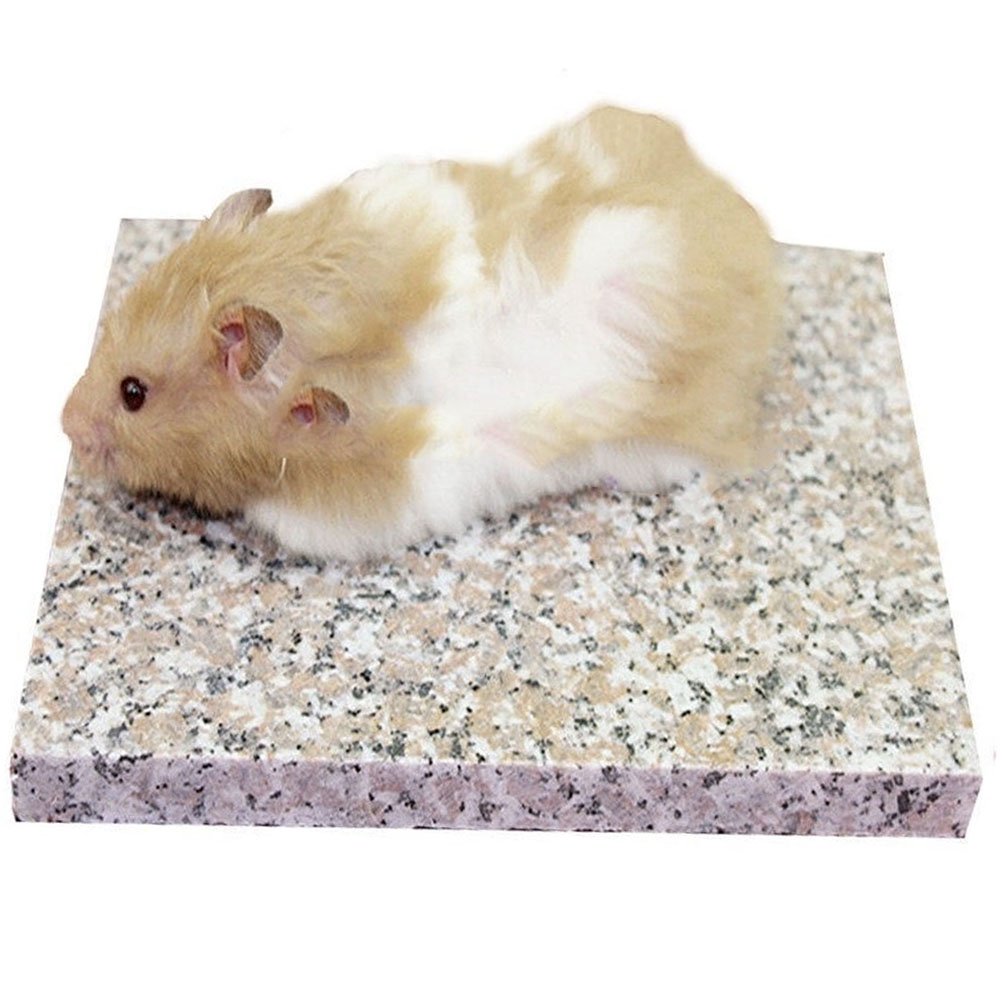 emours Hamster Chiller Cool Granite Stone Small Animal Supplies,3.5 x 3.5 inch