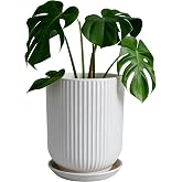 Deep Dream 8 Inch Ceramic Pots for Plants, Heavy Plant Pot for Indoor Outdoor Plants, Large Plant Pot with Drainage Hole and Saucer, Modern Tall Flower Pot, Gifts for Plant Lovers, White