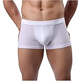 AIVibrat Men's Mesh Boxer Briefs Breathable Low Waisted Underwear Ice Silk Briefs for Men