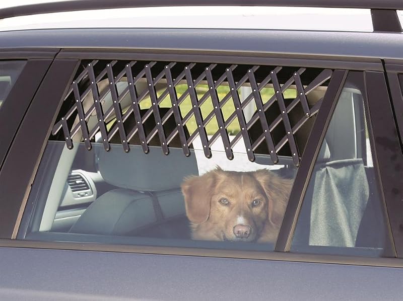 Grille d'Aération pour Voiture Noir