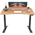 FLEXISPOT E6 Pro Oval Leg Dual Motor 3 Stages Bamboo Electric Standing Desk 60x30 Inch Whole-Piece Board Height Adjustable Electric Sit Stand Up Desk (Black Frame + Bamboo Curved Desktop)
