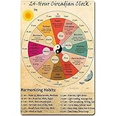 24 Hour Circadian Clock Organ Clock Unframed Knowledge Wall Art Chinese Medicine Healthy Art Cafe School Decoration Tin Sign Home Decor Home Art Metal Signs Wall Art Wall Decor Poster 8 * 12 in