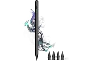 DOGAIN Stylus Pen for iPad 9th&10th - Type-c Charging Magnetic Apple iPad Pencil with Palm Rejection iPad Pen Compatible with（2018-2023）iPad 6/7/8/9/10，iPad Air 3/4/5，iPad Mini 5/6, iPad Pro 11"/12.9"（Black）