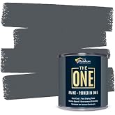 THE ONE All-In-One Paint &amp; Primer - Dark Grey Matte, 8.5 Fl Oz/250ml Sample | 1 Coat Formula | Easy Indoor &amp; Outdoor Decorating for Home &amp; Garden Walls, Floors &amp; Furniture | Water-Based &amp; Low VOC