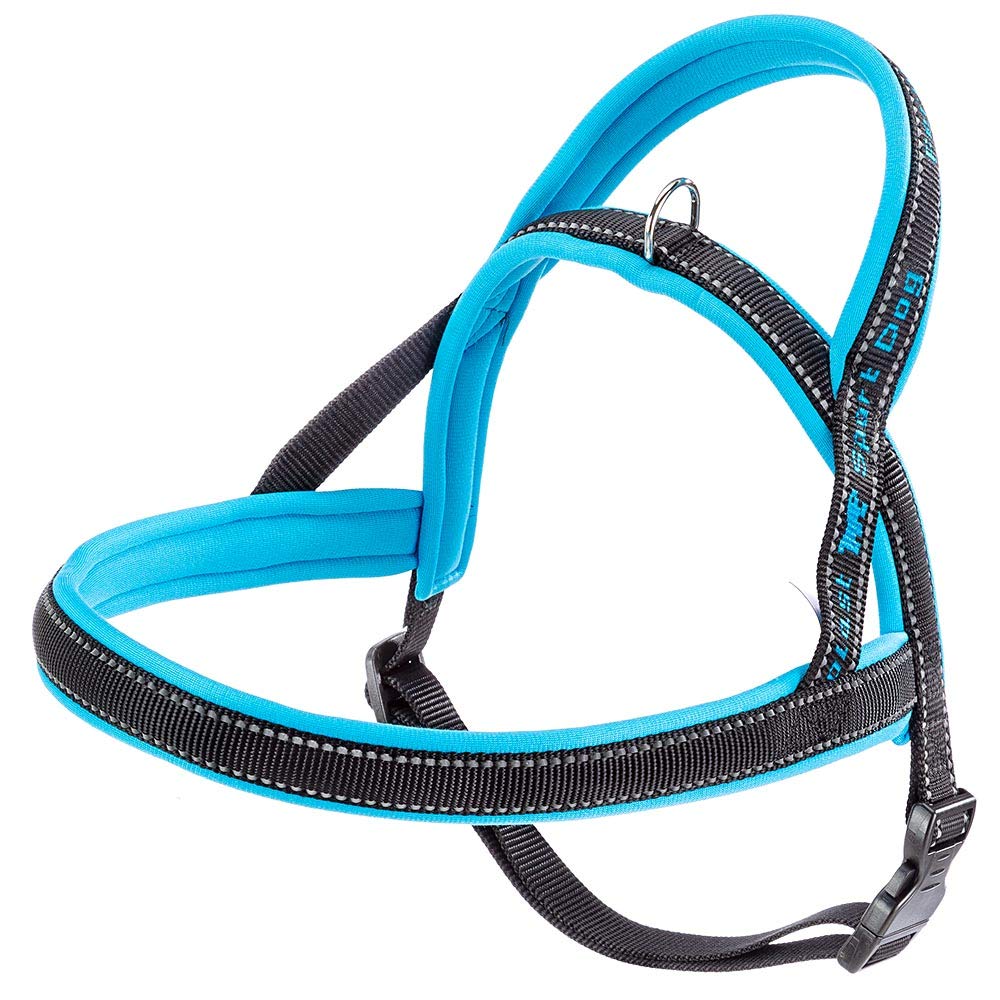 Ferplast Dog Harness SPORT DOG, Dog Harness Medium, Norvegian Type Harness for Dogs, Perfect Fitting, Soft padding, Reflective Nylon, Pet Name Tag, Blue — image 1