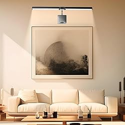 cotaros Picture Lights for Wall, 26in Metal Picture