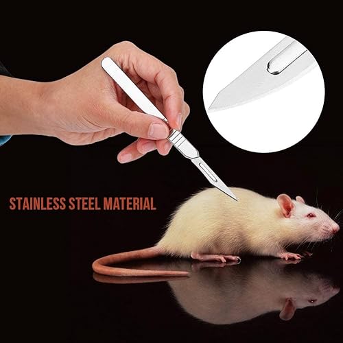 Kit Dissezione 7 Pezzi - Bisturi, Pinzette, Forbici In Acciaio Inox, Per Biologia, Veterinaria O Tassidermia - Foto 2