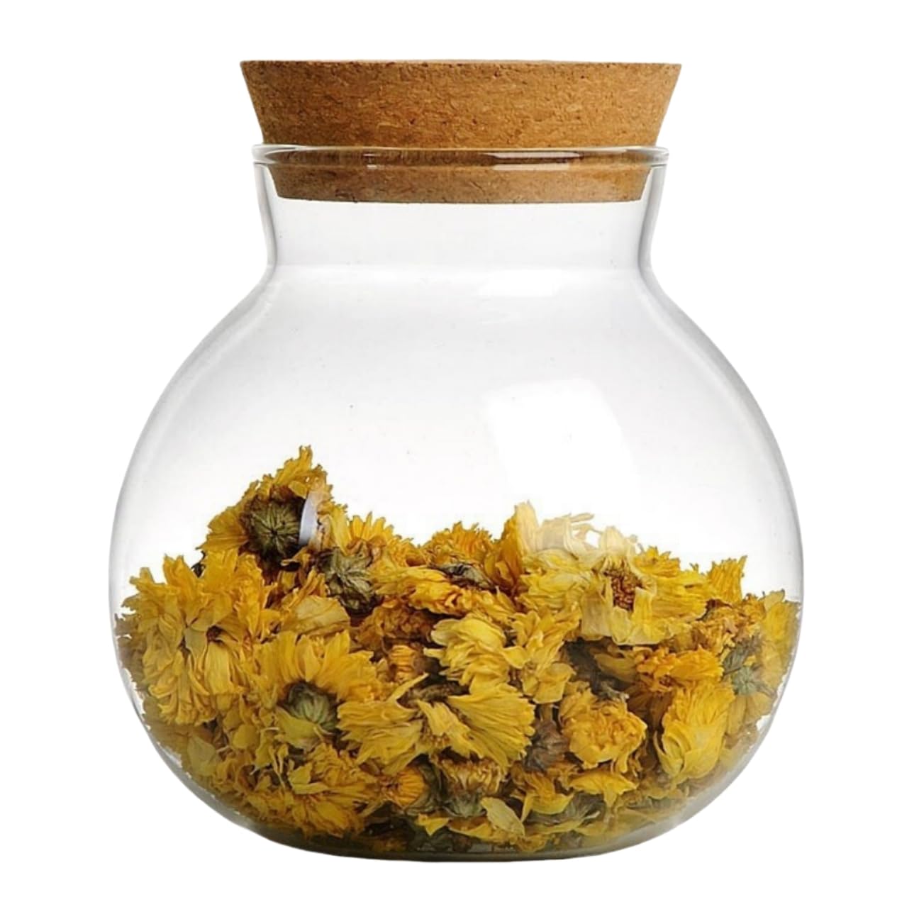 Hydroponic Plants Glass Bottle,Succulent Plant Terrarium Glass Vase with Lid Hydroponic Glass Terrarium Container Glass Air Plant Terrarium for Plants for Water Plants or Flowers,Garden Wall Decoratio