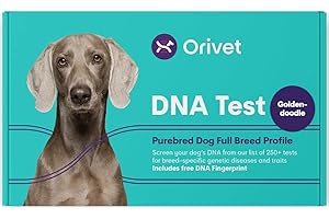 ORIVET Dog DNA Test Kit - Goldendoodle Full Breed Profile | Puppy Testing Against 250 Medical Health Risks & Traits | Genetic Fingerprint & Wellness Plan | at Home Cheek Swab